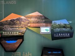 -中国湿地博物馆
