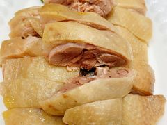 白切马冈鹅-鹅城