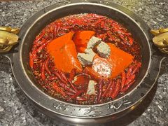 -蜀大侠火锅(总府路店)