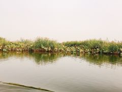 -白洋淀景区