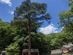 -北京上方山国家森林公园