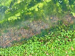 -水上明月·湖景餐厅