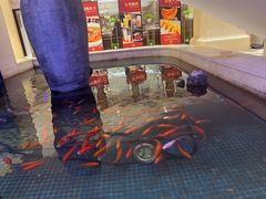 -燕郊烧鸽子(酷车小镇店)