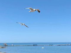 -青海湖二郎剑景区