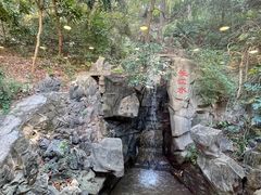 -长江国际酒店-中餐厅