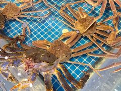 -驻海渔市(置信店)