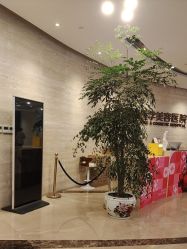 -四川娇点医学美容医院