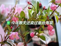 -盒马鲜生(189购物中心店)