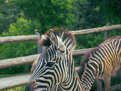 -泉州海丝野生动物世界