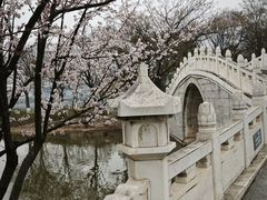 -月湖风景区