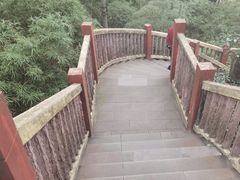 -南山植物园