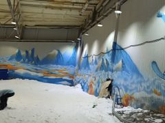 -乔波室内滑雪场