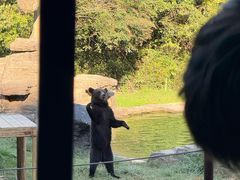 -杭州野生动物世界