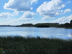 -丁香湖公园