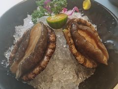 六头鲍-海月轩海鲜豆捞(紫金塔店)
