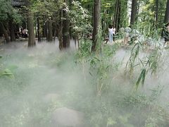 -东湖落雁景区