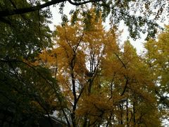 -四川大学(华西校区)