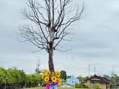 -杭州湾海上花田景区