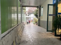 -复旦大学附属中山医院青浦分院