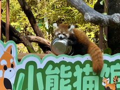 -广州动物园