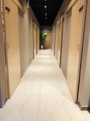 -三只熊皮肤管理中心