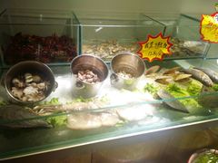 -酒肉行·虎子盐筋烤肉(大寨路店)