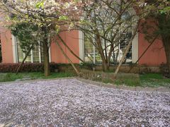 -平湖九龙山庄园圣马可酒店