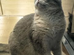 -二仙居商业街