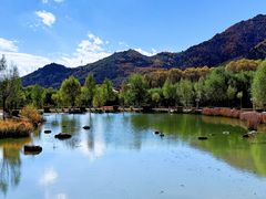 -芦芽山旅游度假区