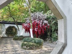-杭州黄龙洞