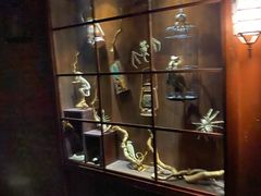 -逃脱反斗城沉浸剧情密室(阳光新业中心店)