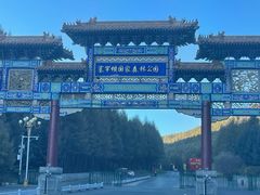 -塞罕坝国家级自然保护区