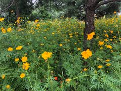 -中国科学技术馆影院