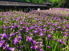-龙头寺公园
