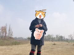 -白鹭湾湿地公园