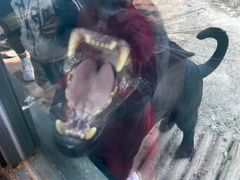 -昆明动物园
