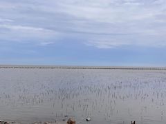 -南汇新城海滩