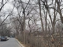 -旅顺留声机博物馆