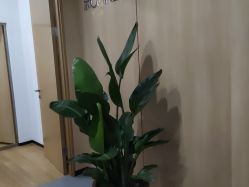 -西安伊美尔医疗美容医院