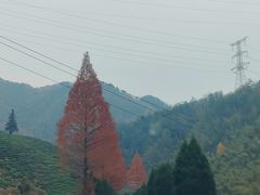 -塔川景区