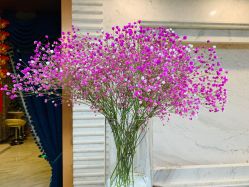 -悦润荟美容抗衰中心