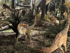 -湖南省地质博物馆