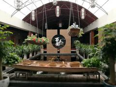 鸡蛋花炖水鸭-百丈园(陈村店)