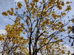 -中国移动南方基地