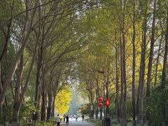 -长春公园(普阳街道)