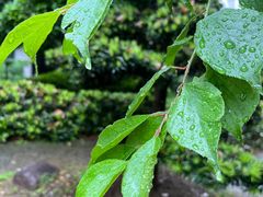 -金牛山大酒店(南北湖风景区店)