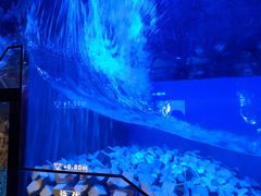 -贝林大翅鲸简餐厅(国家海洋博物馆店)