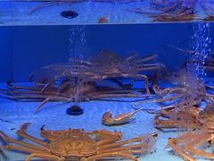 -阿伟海鲜楼·福建菜(延寿店)