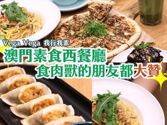 -VEGA VEGA 我行我素