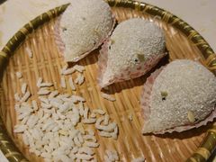 -点都德·毕德寮